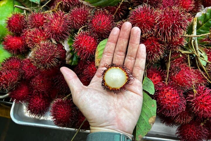 Off-the-Beaten-Path Oahu Food Tour: Honolulu Chinatown Tastings & Markets photo 5