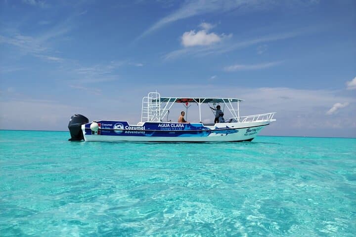 Cozumel El Cielo Sandbar & Palancar-Colombia Reef Private Snorkel Adventure photo 4