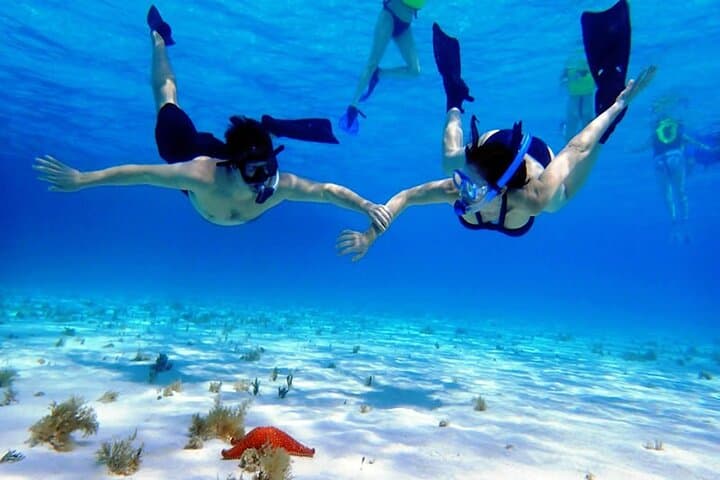 Cozumel El Cielo Sandbar & Palancar-Colombia Reef Private Snorkel Adventure