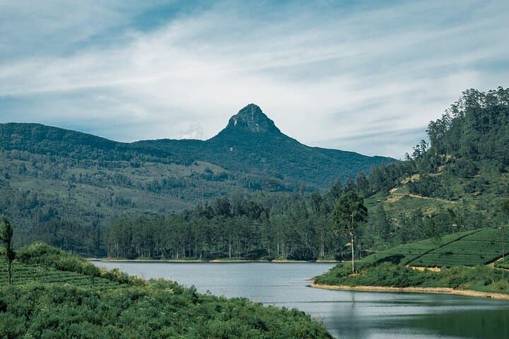 Private Airport Transfer: Colombo to Adam's Peak (Sri Pada) — Door-to-Door Taxi