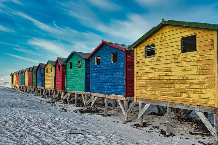 Cape Peninsula & Penguins Private Day Tour — Cape Point, Boulders Beach & Chapman’s Peak photo 6
