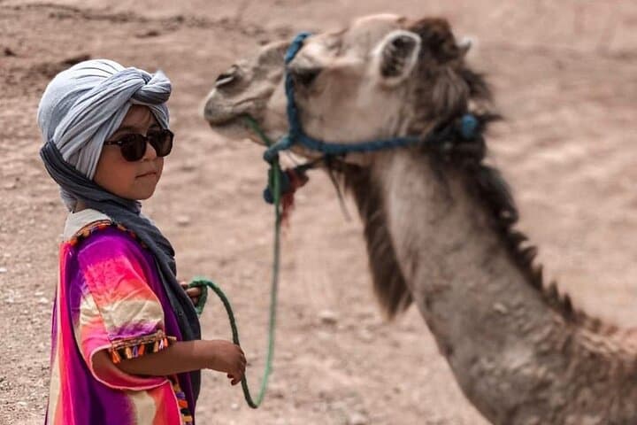 Agafay Desert Camel Safari and Sunset Jeep Adventure with Dinner Show photo 4