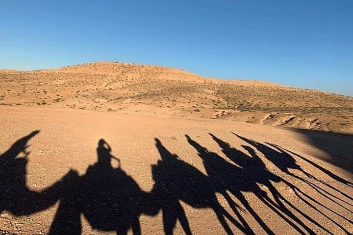 Agafay Desert Camel Safari and Sunset Jeep Adventure with Dinner Show photo 6