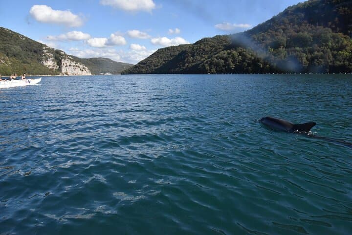 Lim Bay Outrigger Canoe Tour — Paddle Limski Kanal Between Rovinj and Vrsar photo 5