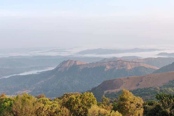 Kodachadri Summit Trek: A Day Hike through Western Ghats Forests and Waterfalls