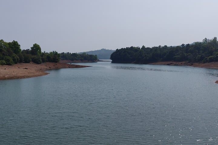 Kodachadri Summit Trek: A Day Hike through Western Ghats Forests and Waterfalls photo 2