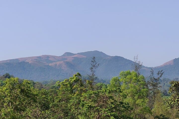 Kodachadri Summit Trek: A Day Hike through Western Ghats Forests and Waterfalls photo 3