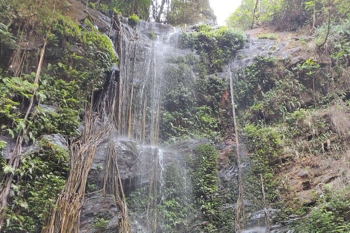 Kodachadri Summit Trek: A Day Hike through Western Ghats Forests and Waterfalls photo 4