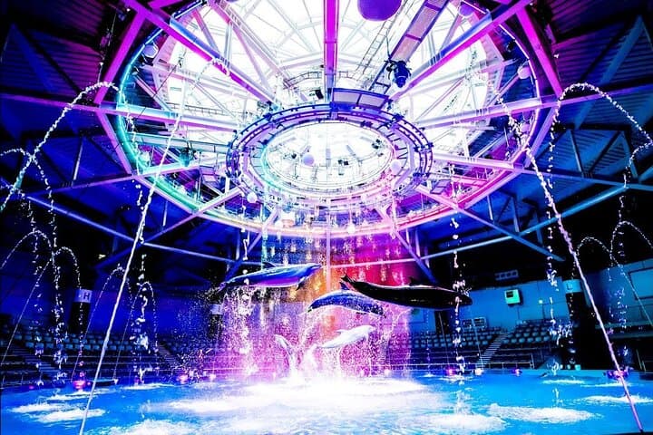 Maxell Aqua Park Shinagawa: Tokyo's LED-Lit Aquarium Experience photo 3