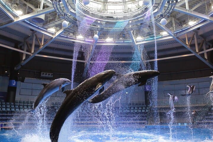 Maxell Aqua Park Shinagawa: Tokyo's LED-Lit Aquarium Experience photo 6