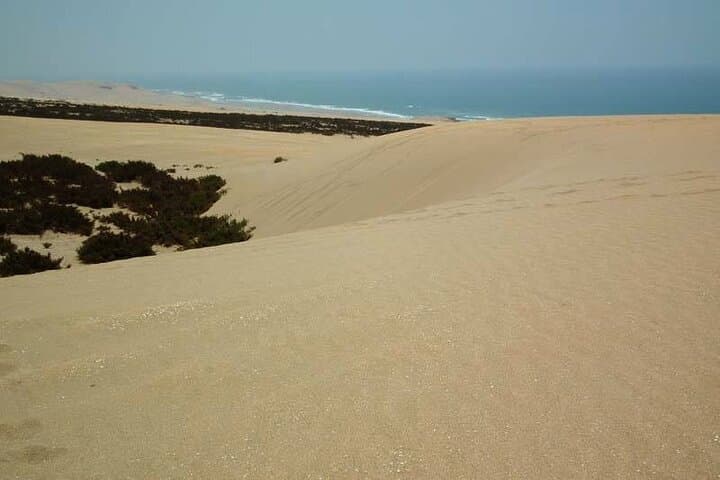 Agadir to Massa & Tiznit: Full-Day Birdlife, Berber Lunch and Mini Sahara Tour photo 2