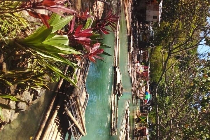 White River Bamboo Rafting — Private Ocho Rios Raft Tour photo 6