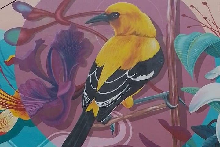 Willemstad Walking Tour: Discover Curaçao's Colorful History in Punda & Otrobanda photo 3
