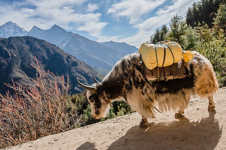 13-Day Private Everest Base Camp Trek: Lukla to Kala Patthar Adventure photo 6