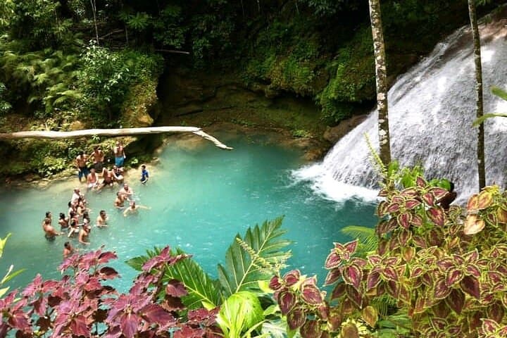Blue Hole Secret Falls: Ocho Rios Waterfall, Rope Swings & Jamaican Fruit Tasting