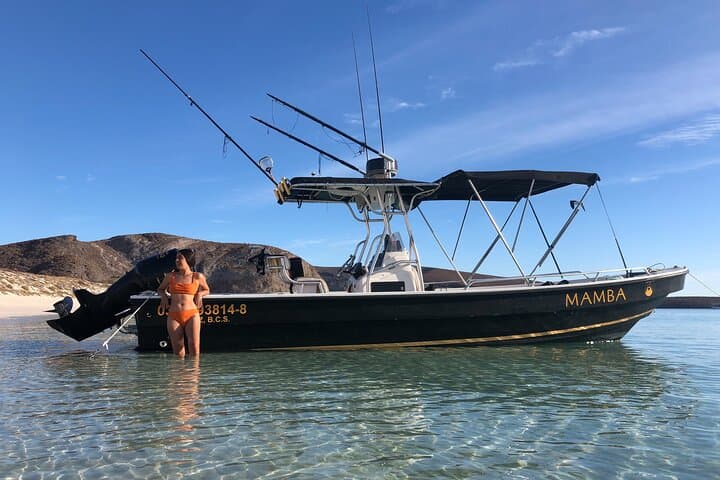 Private Espiritu Santo Island Snorkel with Sea Lions from La Paz photo 4