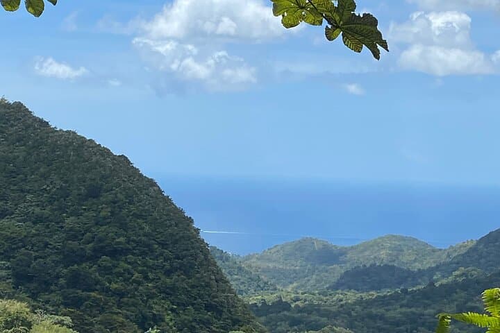 Half-Day Grenada Seven Sisters Waterfall Hike at Grand Etang Nature Center photo 3
