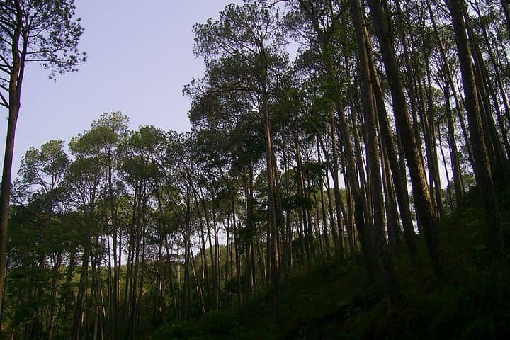 Nagarkot Sunrise & Changu Narayan Hike — Himalayan Views from Kathmandu photo 3
