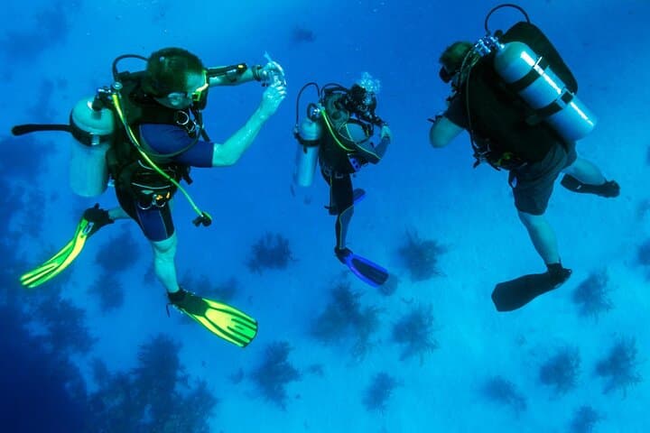 Fujairah PADI Deep Diver Specialty Course — Train to 40m on the Gulf of Oman photo 2