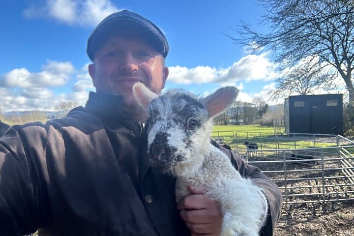 Dublin Countryside Sheepdog Demo and City Highlights: One-Day Combo Tour