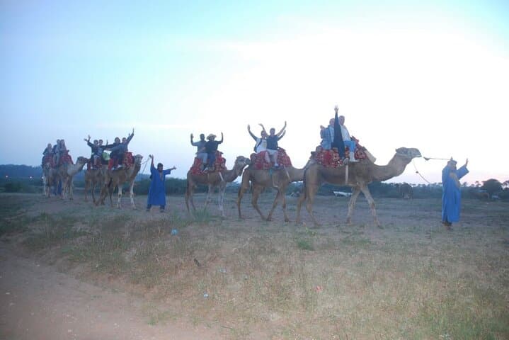 Camel Ride Along the Souss River: 2-Hour Agadir Ranch Experience photo 3