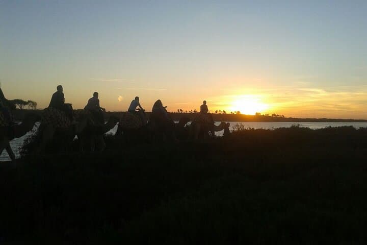 Camel Ride Along the Souss River: 2-Hour Agadir Ranch Experience photo 4