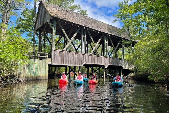 Kayak the Kitty Hawk Maritime Forest: Guided Marsh & Creek Paddle in the Outer Banks