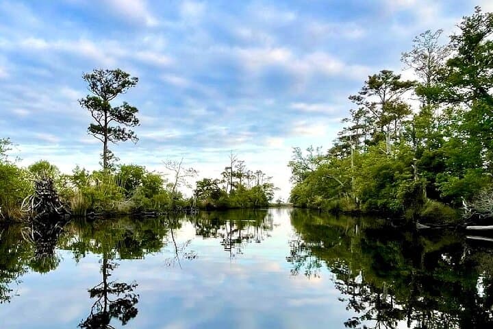 Kayak the Kitty Hawk Maritime Forest: Guided Marsh & Creek Paddle in the Outer Banks photo 2