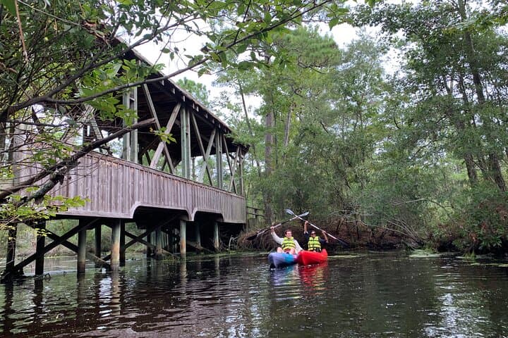 Kayak the Kitty Hawk Maritime Forest: Guided Marsh & Creek Paddle in the Outer Banks photo 3