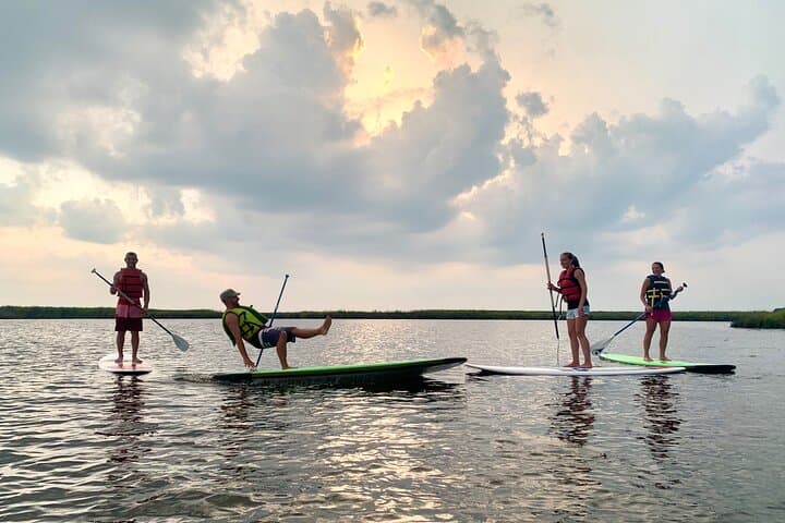 Kayak the Kitty Hawk Maritime Forest: Guided Marsh & Creek Paddle in the Outer Banks photo 4