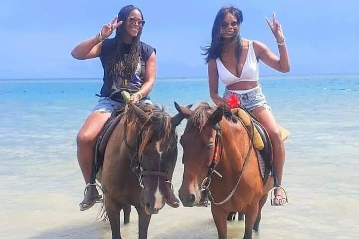 Full-Day Ocho Rios Blue Hole & Dunn's River Falls Private Tour from Montego Bay photo 5