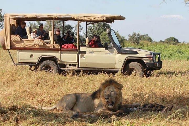 Flying Safari from Zanzibar to Saadani & Nyerere: Coastal Game Drives and River Boat Safaris photo 4