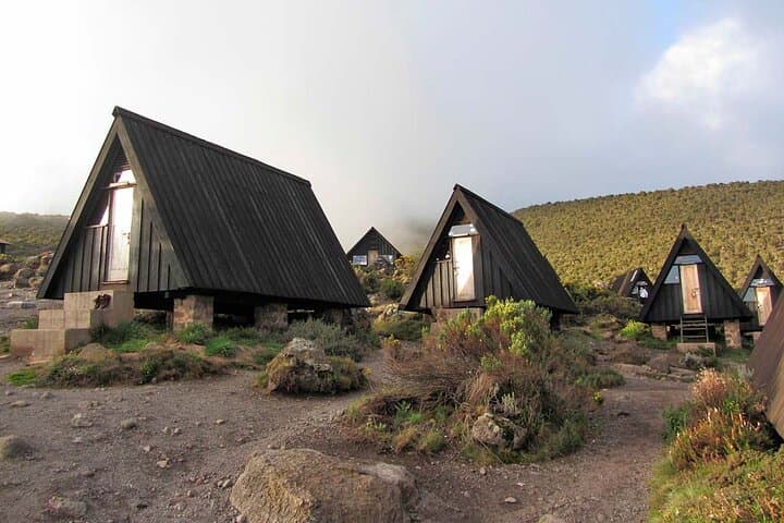 5-Day Kilimanjaro Climb: Marangu Route to Uhuru Peak (Moshi) photo 3