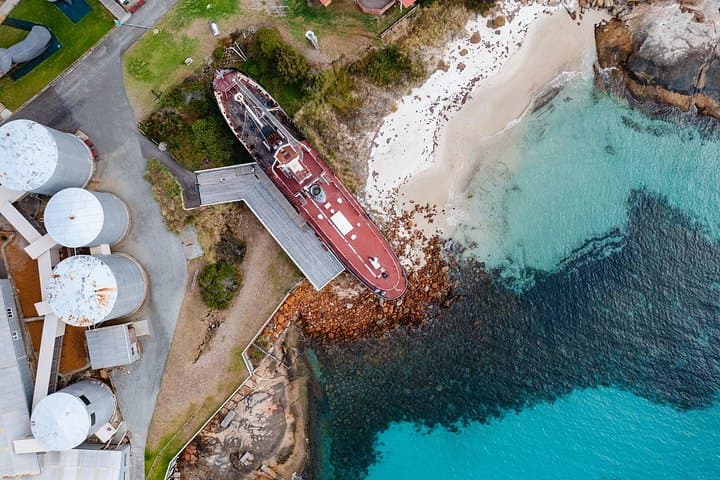 Albany's Whale Story: Torndirrup Coast & Historic Whaling Station Tour photo 3