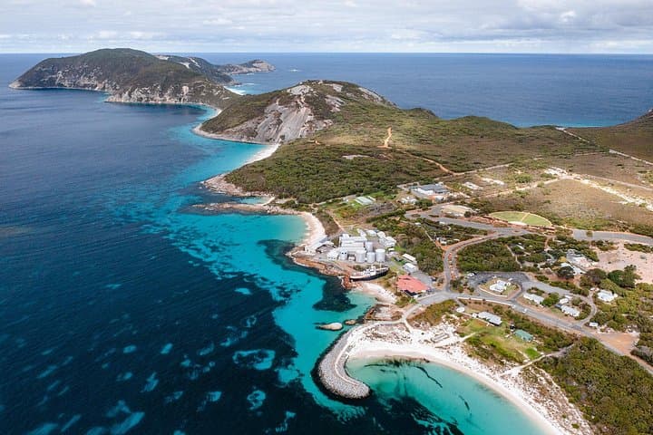 Albany's Whale Story: Torndirrup Coast & Historic Whaling Station Tour photo 4