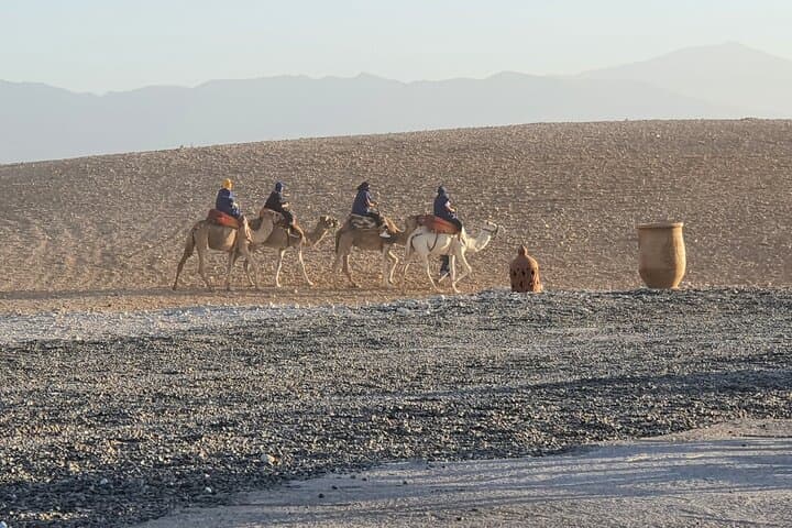 Camel Ride Through Marrakech's Palmeraie: 1-Hour Sunset Oasis Experience photo 5