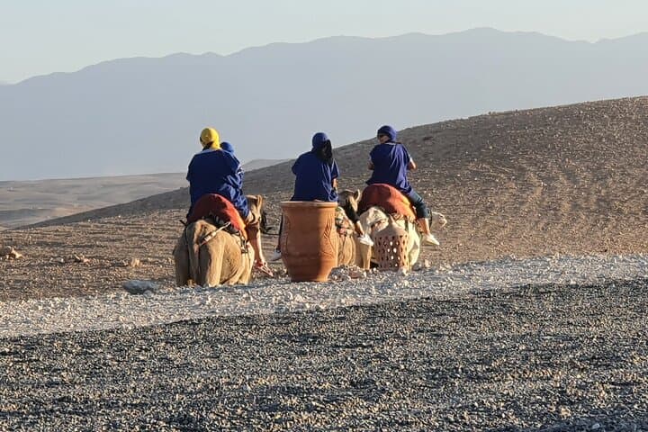 Camel Ride Through Marrakech's Palmeraie: 1-Hour Sunset Oasis Experience photo 6