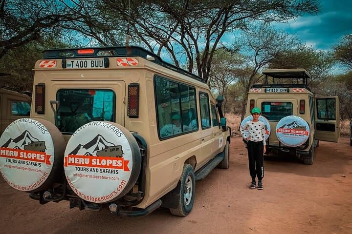 4-Day Tarangire, Serengeti & Ngorongoro Crater Safari — Mid‑Range Lodge Tour from Arusha