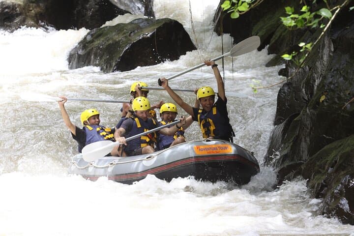 Half-Day Ayung River White Water Rafting with Lunch (Ubud) photo 4