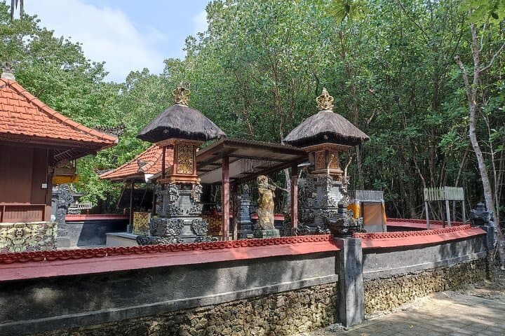 Sanur Village E-Bike Tour: Family-Friendly Cycling & Turtle Sanctuary Visit in Bali photo 6