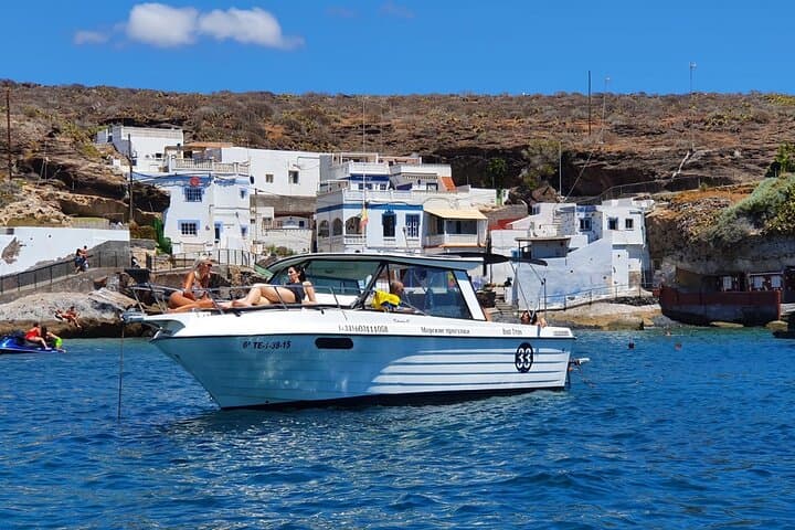 Private Boat Tour from Puerto Colón — Snorkel, Fish & Whale Watch off Tenerife