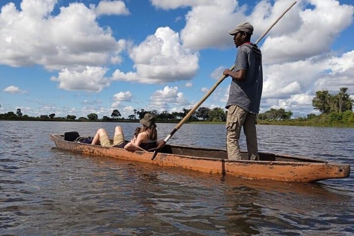 Mokoro Full-Day in the Okavango Delta: Polers, Wildlife & Island Walks