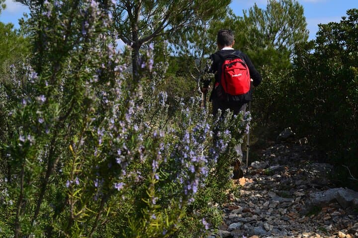 Hvar Lavender Tour: Easy Island Hike, Village Visits & Local Tastes photo 6