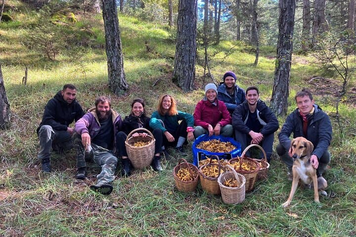 High Mountains Solidarity Tour Zagori: Live Like a Local in the Greek Highlands photo 4