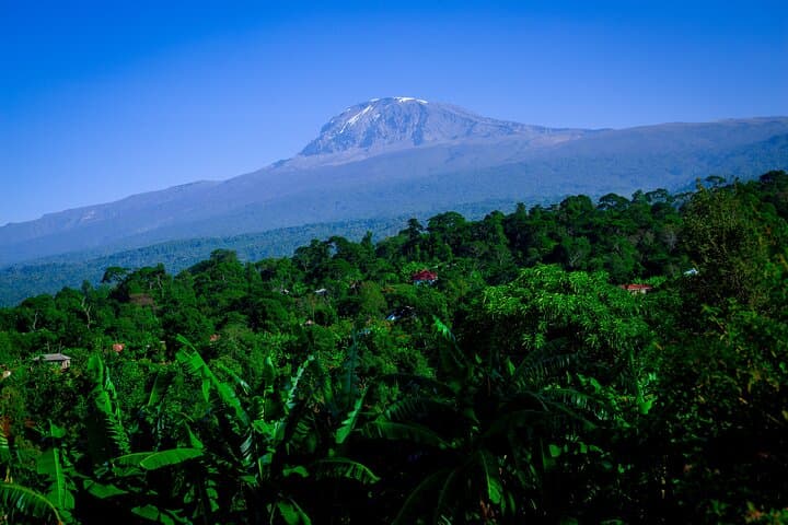 Materuni Waterfall to Kikuletwa Hot Springs: Kilimanjaro Slopes Day Hike and Swim