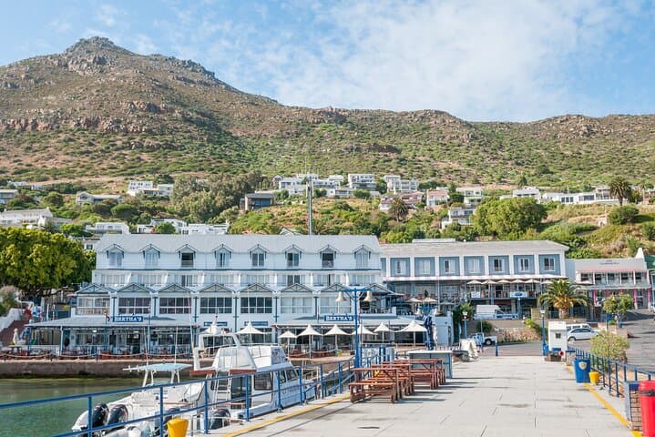 Cape Peninsula Day Trip: Chapman's Peak, Cape Point & Boulders Beach Penguins photo 3