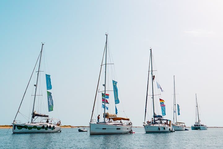 Sail the Tagus: Private Day Sailing Around Belém and Lisbon Coast photo 5