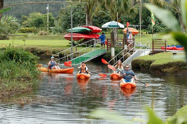 Afternoon Kayak & Snorkel in Hanalei Bay — Paddle to Turtles and Hidden Beaches photo 3