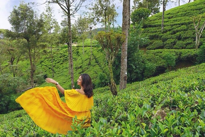 Nuwara Eliya Highlights: Ramboda Falls, Pedro Tea & Scenic Train Ride photo 3