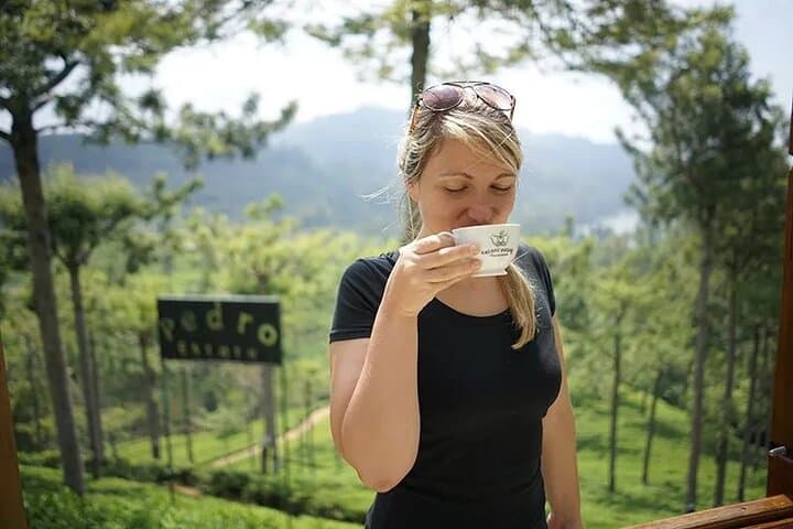 Nuwara Eliya Highlights: Ramboda Falls, Pedro Tea & Scenic Train Ride photo 6